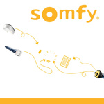 Somfy Napęd Oximo 50 io 6/17 Adapter 50 Art. 1032700