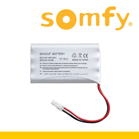 Somfy Axovia 3S io Pack Comfort 1216596 – zestaw automatyki do bram skrzydłowych